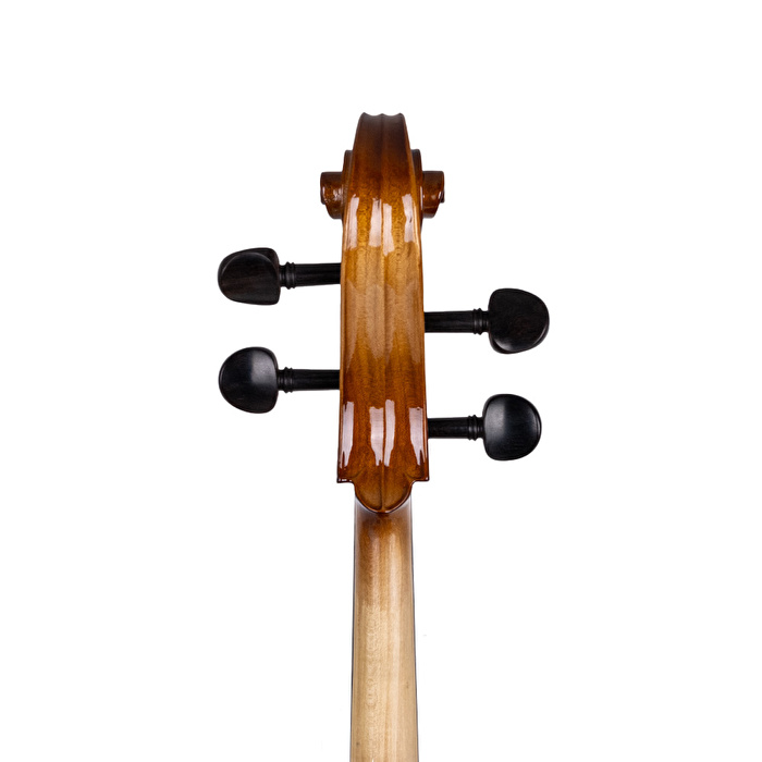 VANETTA WN-20 / 1/2 Çello